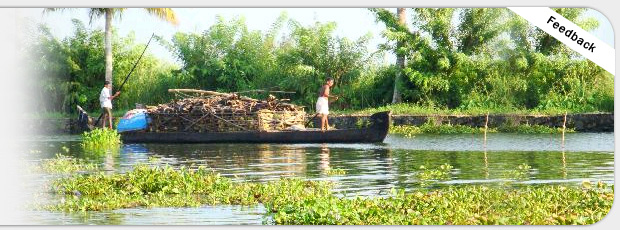 Kerala backwater, Alleppey backwater, backwater cruise