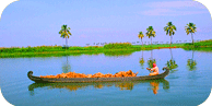 Kerala Backwater