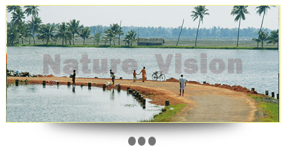 Alleppey Village Tours
