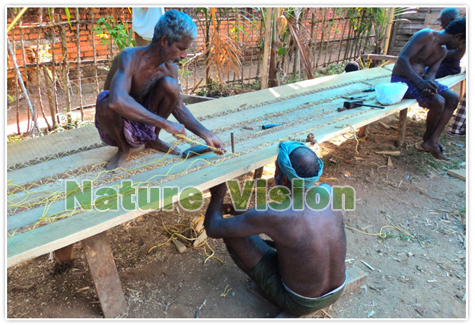 Kerala Houseboats Building, Alleppey Houseboats Buildings