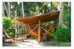 Kerala Houseboats Building, Alleppey Houseboats Buildings