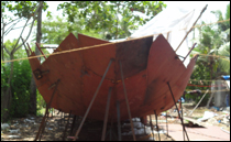 Kerala Houseboat Buildings