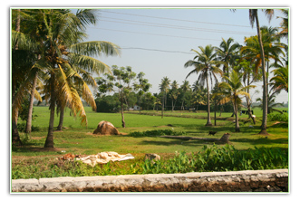 For Sale Land