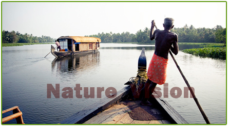Nature vision punting houseboats